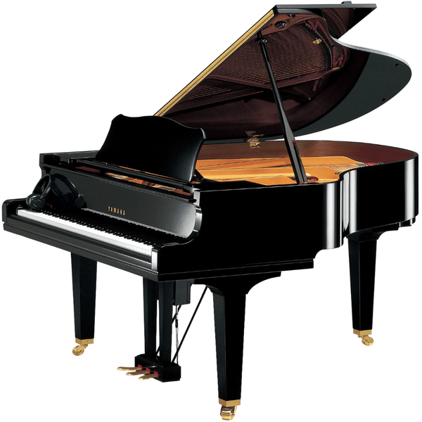 Piano Yamaha DGC1 ENST 1/4 Cauda Disklavier - INTERMEZZO